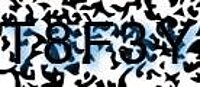 grafischer Sicherheitscode