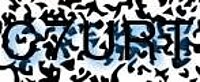 grafischer Sicherheitscode