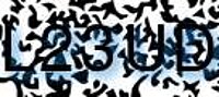 grafischer Sicherheitscode