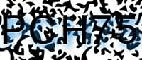 grafischer Sicherheitscode