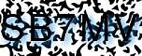 grafischer Sicherheitscode