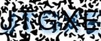grafischer Sicherheitscode