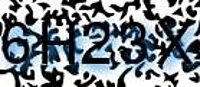 grafischer Sicherheitscode